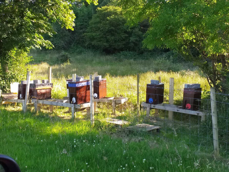 Westport Honey Apiary