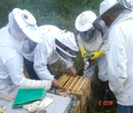 Teaching the Next Generation of Beekeepers