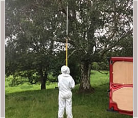 Retrieving a Swarm from a Tree