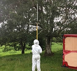 Retrieving a Swarm from a Tree